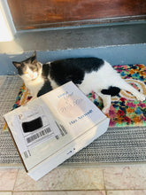 Load image into Gallery viewer, First Dibs Subscription Box Service