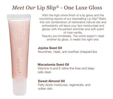 Load image into Gallery viewer, Sara Happ The Lip Slip® Gloss - Original
