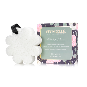 Morning Bloom Boxed Flower | Gifts