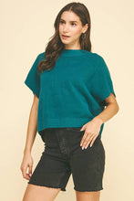 Load image into Gallery viewer, Short Sleeve Sweater by PINCH
