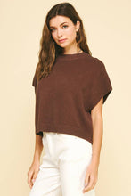 Load image into Gallery viewer, Short Sleeve Sweater by PINCH
